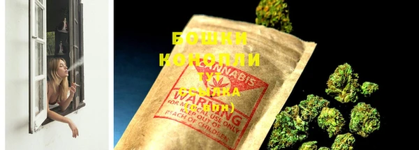 ГАЛЛЮЦИНОГЕННЫЕ ГРИБЫ Арсеньев
