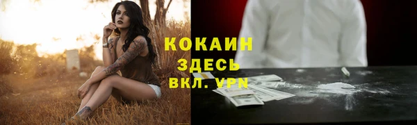 ГАЛЛЮЦИНОГЕННЫЕ ГРИБЫ Арсеньев